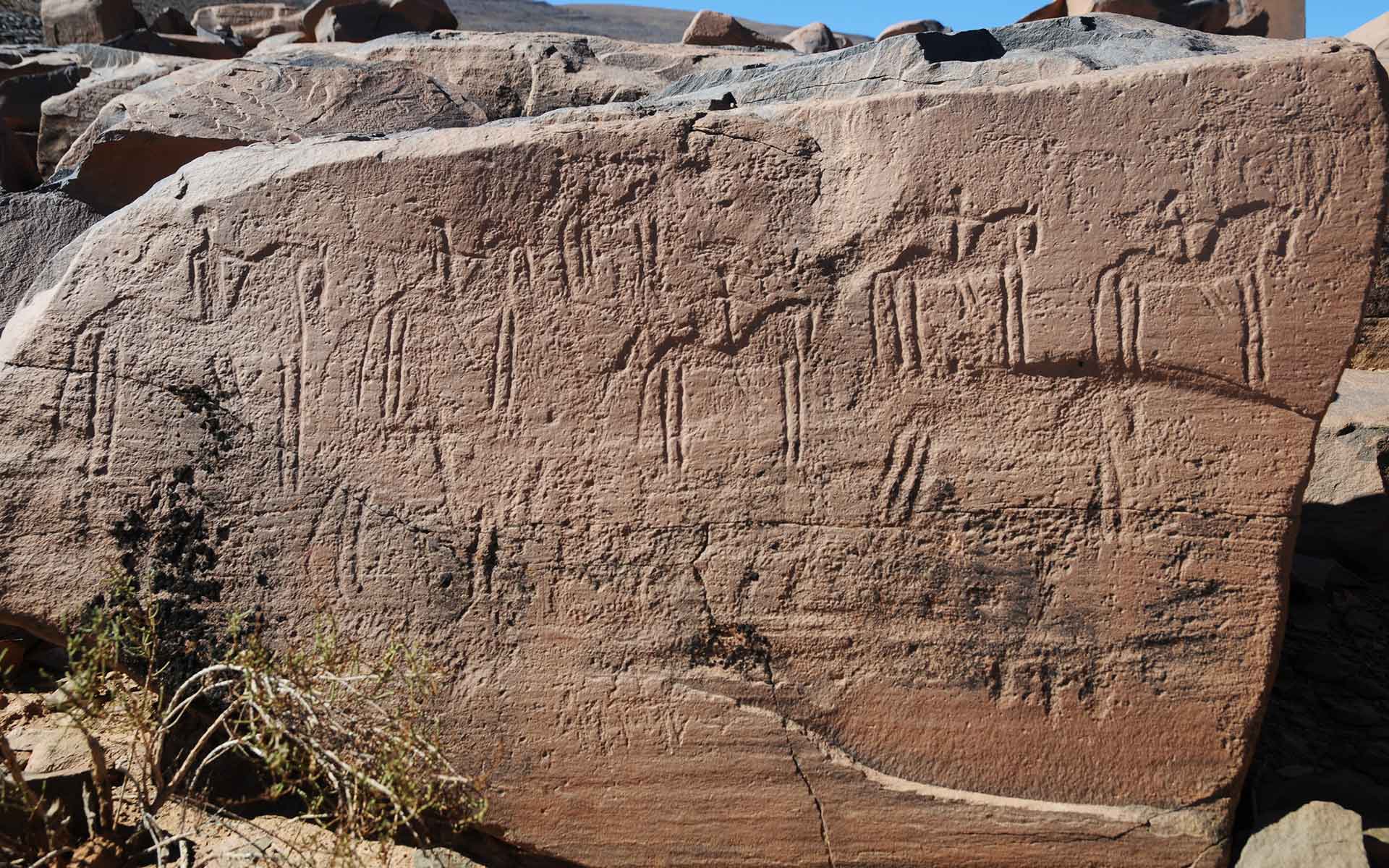 A la découverte des gravures rupestres entre Ouarzazate et Zagora