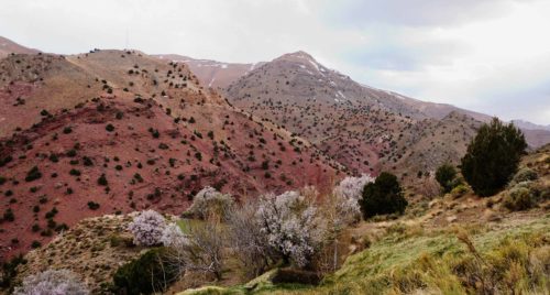 Le "tourisme vert", atout majeur pour Ouarzazate, et le Maroc