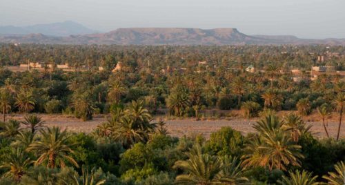 A Skoura, le rêve d’une palmeraie 100% écologique