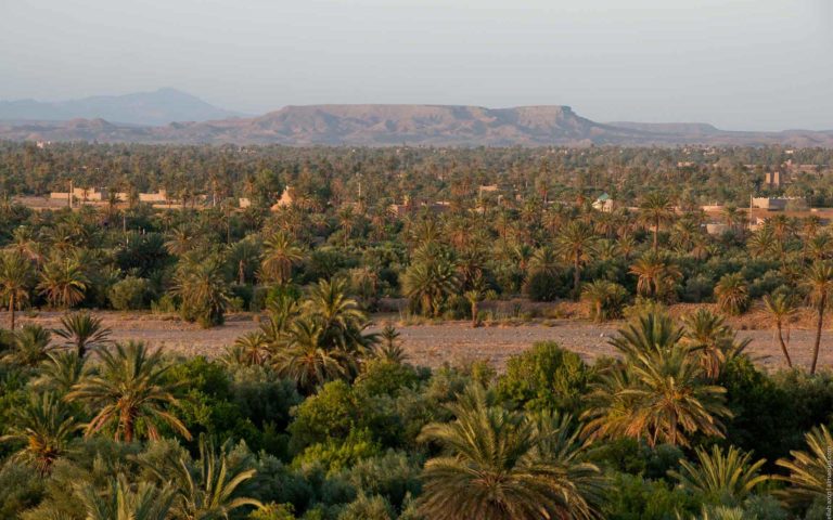 A Skoura, le rêve d’une palmeraie 100% écologique