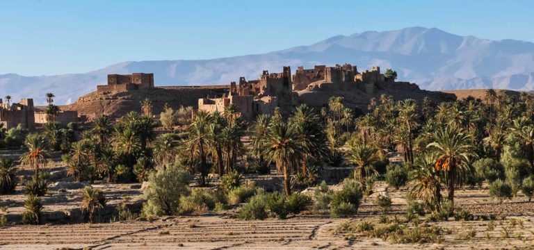 La zaouia aux mille trésors