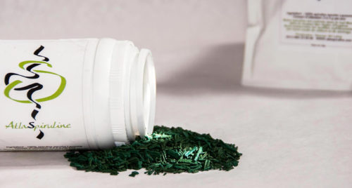 Sous le soleil de Ouarzazate grandit la spiruline