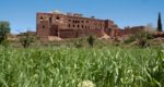 La vieille casbah de Telouet est laissée à l'abandon alors qu'elle porte la mémoire de la région de Ouarzazate