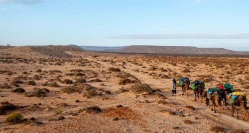 Découvrir le Maroc comme au temps des caravanes d’autrefois