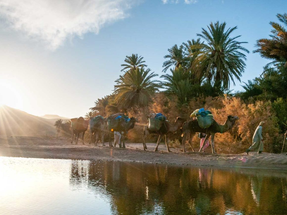 Midelt Découvrir Midelt - Sudestmaroc.com