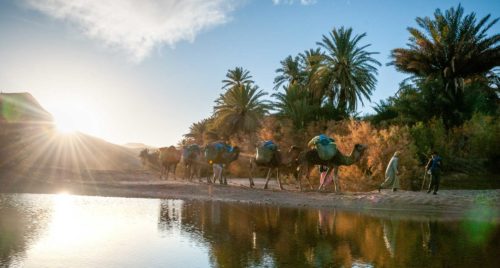 L’opportunité est là pour le Maroc de valoriser sa nature profonde