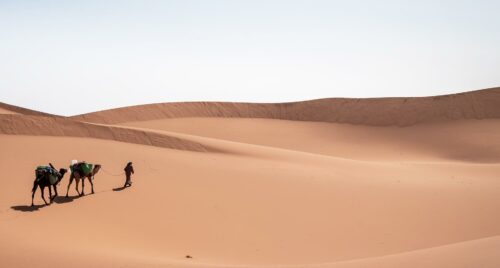 Le soufisme au Maroc, un pont vers l'avenir