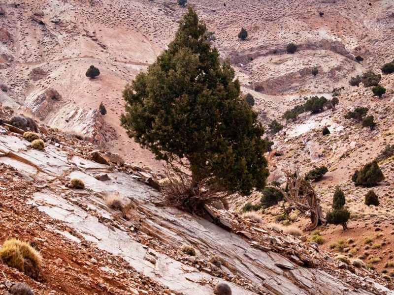 Les beautés naturelles de la région Sud Est du Maroc