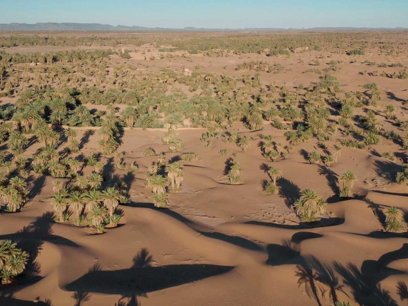 Les oasis du Maroc sont en danger face au réchauffement climatique
