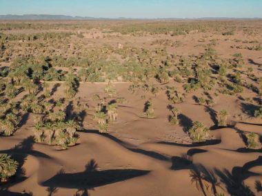 Les oasis du Maroc sont en voie de disparition
