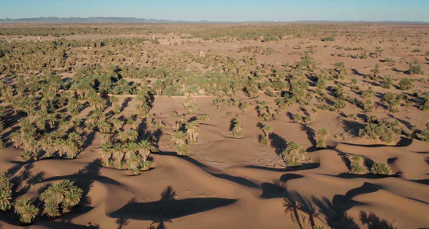 Les oasis du Maroc sont en voie de disparition
