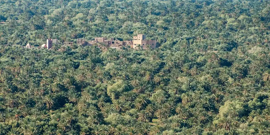 Oasis et palmeraie d'Agdz