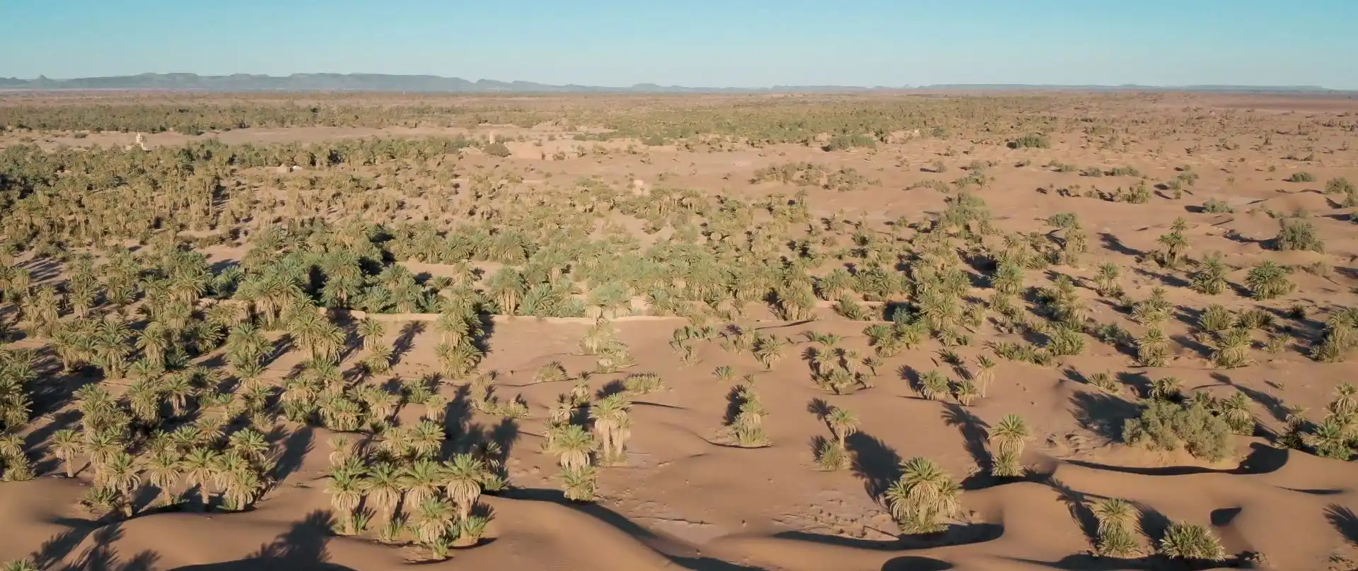 The oasis bears the germ of tomorrow’s Morocco — and of the world