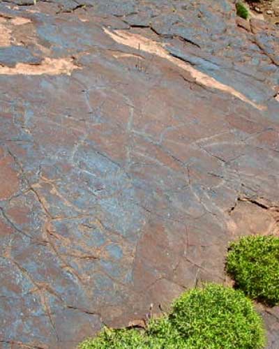 Gravure rupestre sur le site d'Igounyar près d'Oukaïmeden