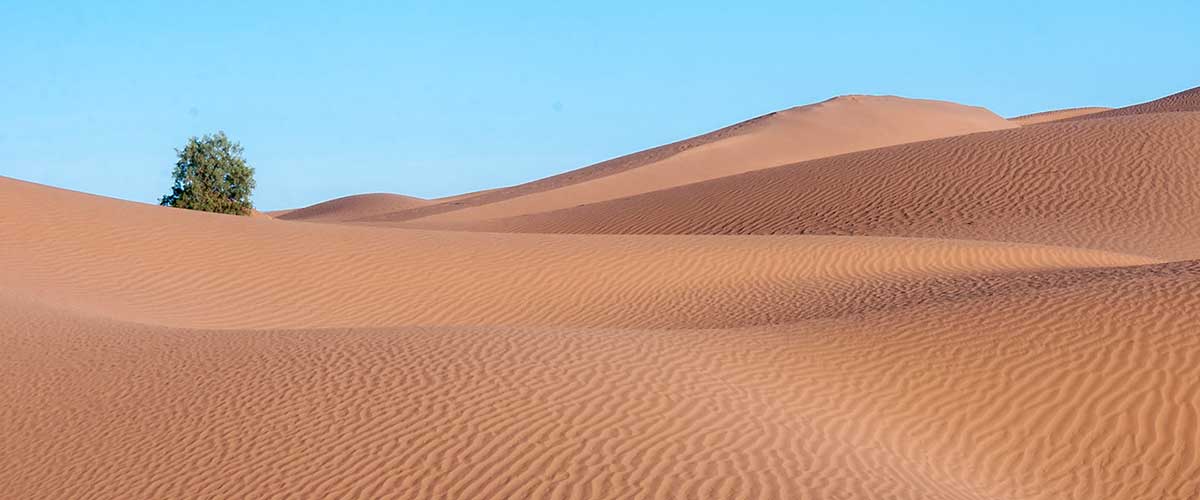 Zagora porte du grand désert du Sahara