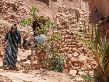 Organisation sociale du ksar d'Aït Ben Haddou, autrefois.