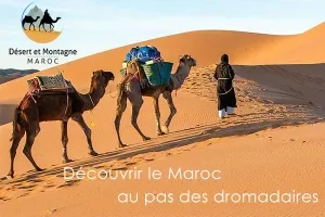 Banniere pub Desert et Montagne Maroc