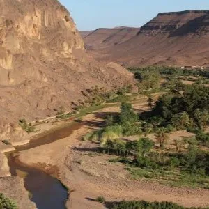Oasis de Fint