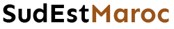 Logo sudestmaroc.com