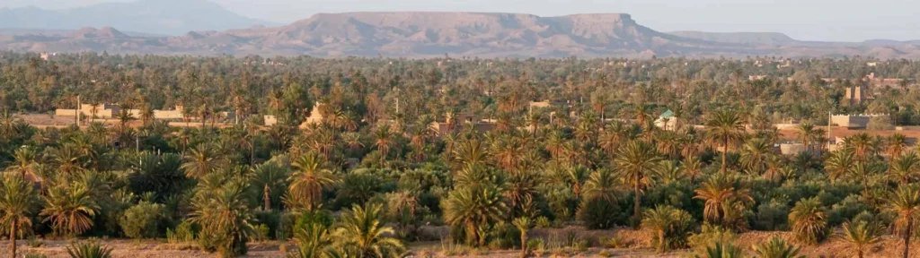 Oasis de Skoura