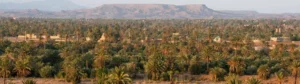 Oasis de Skoura