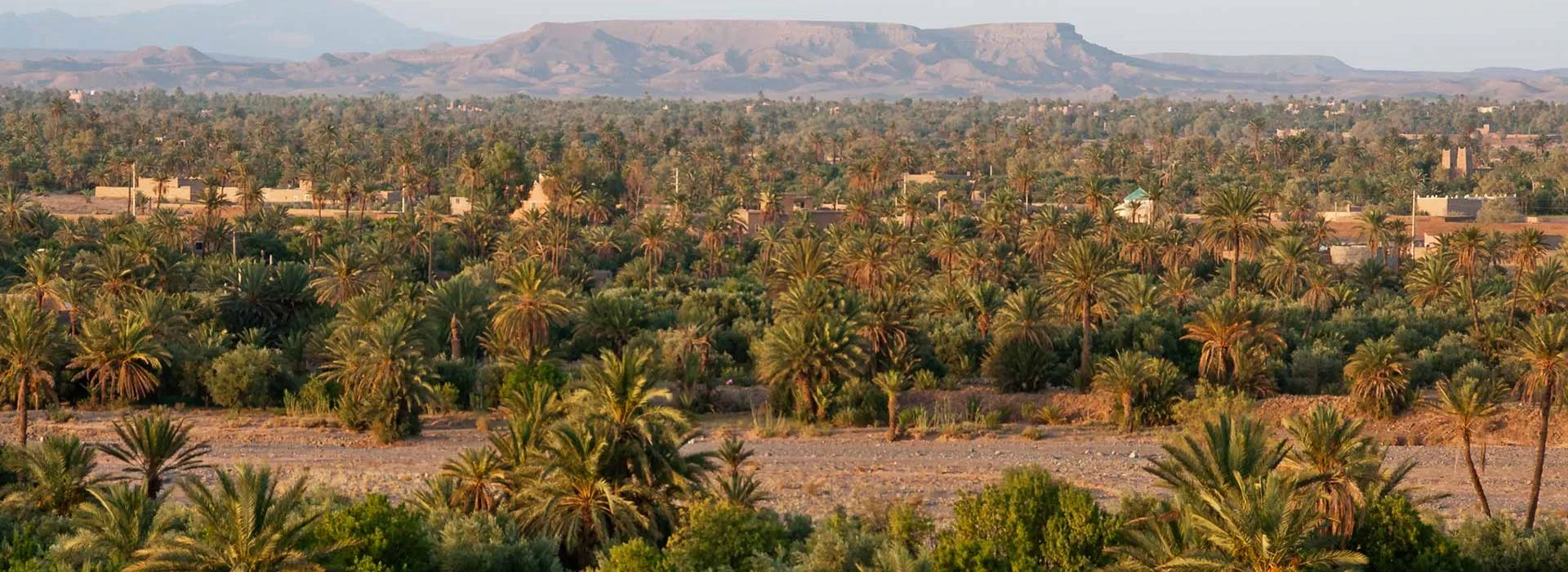 Oasis de Skoura