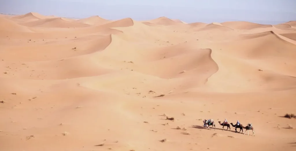 Caravane dans le désert - Par A. Azizi