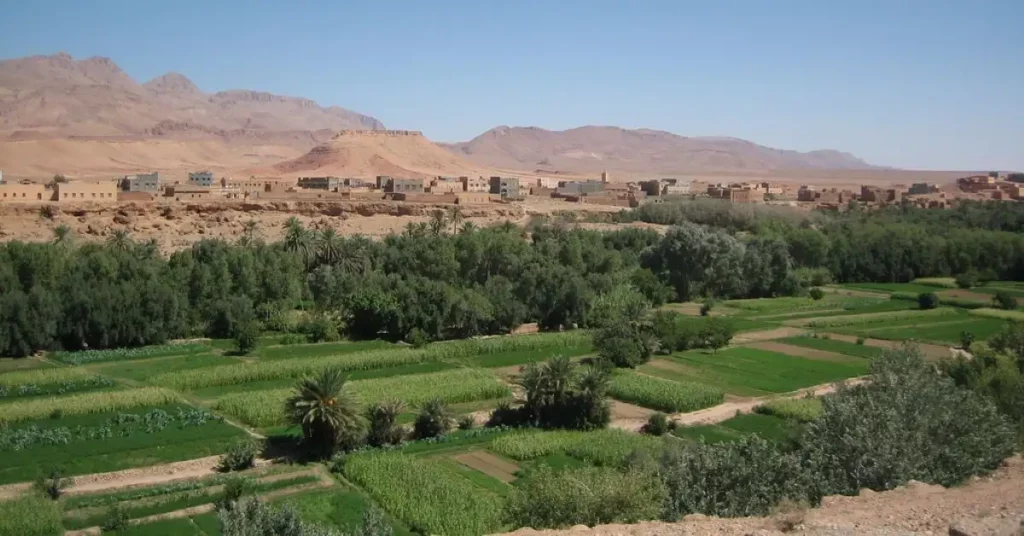 Tinghir et son oasis
