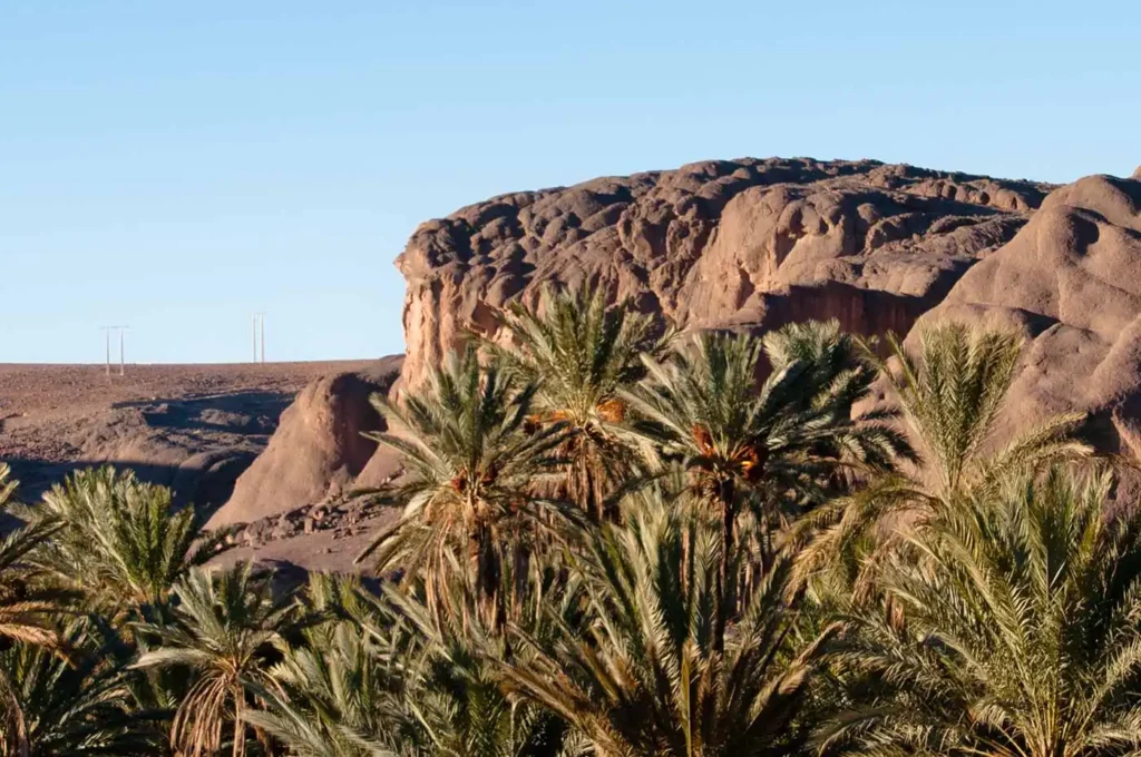 L'oasis de Fint