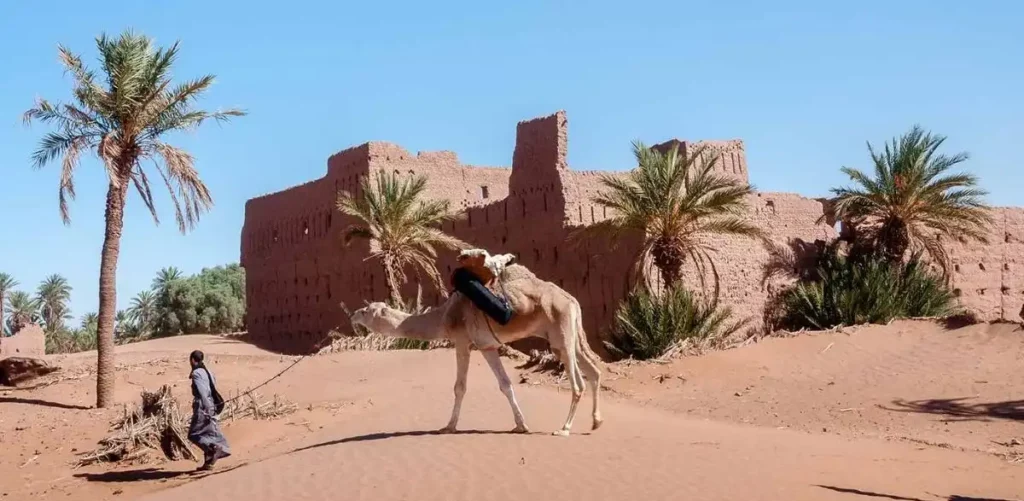 M'Hamid El Ghizlane en ruine - Par A. Azizi