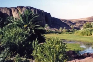 Oasis de Fint