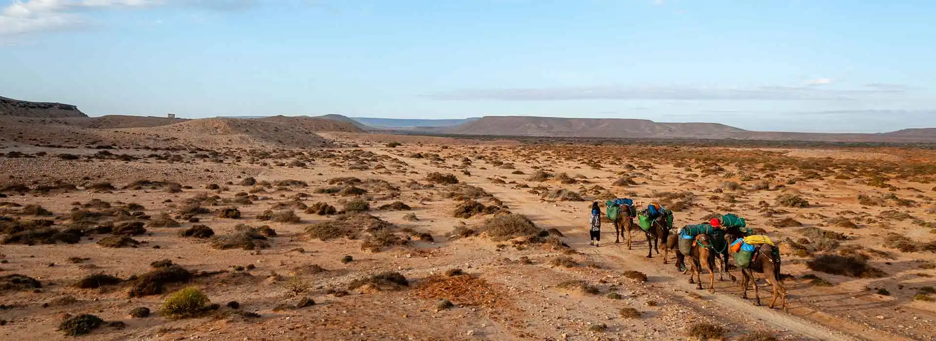 Camel caravan in Morocco