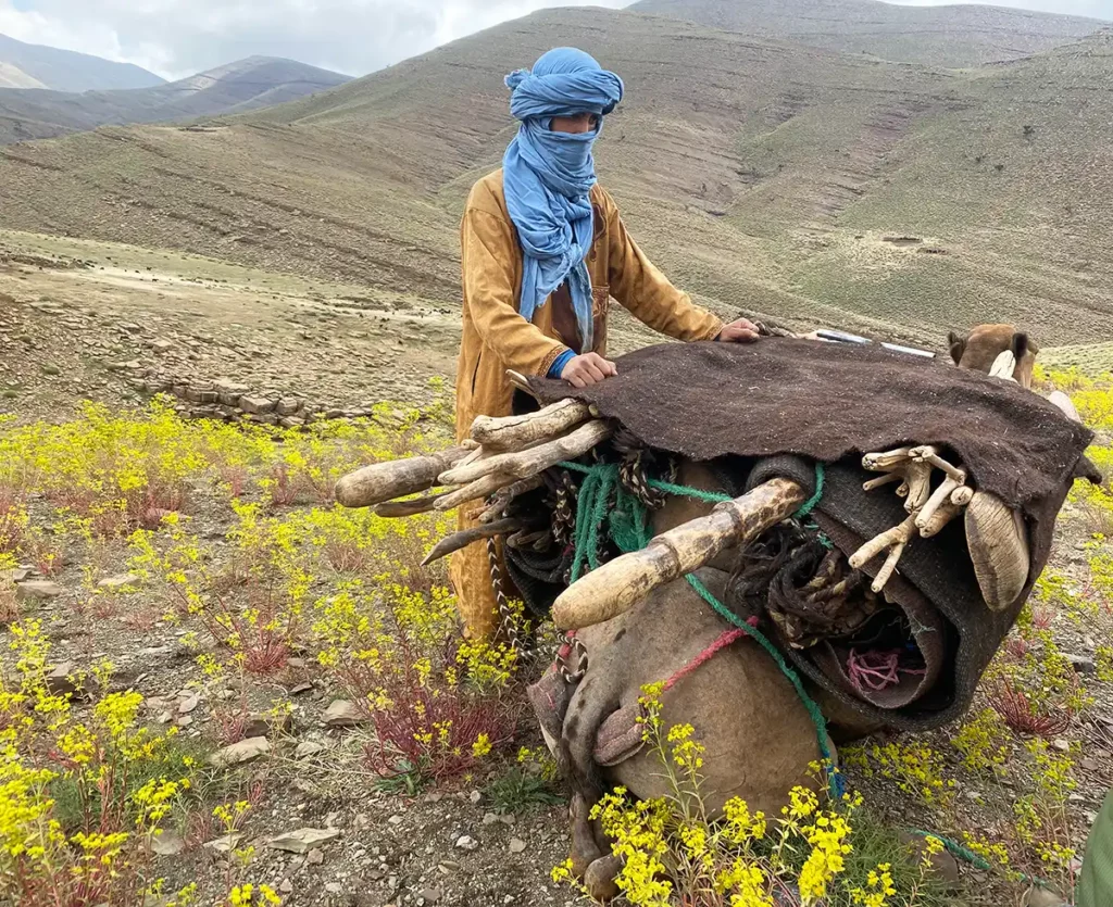 A nomadic shepherd - Crédit : A. Azizi