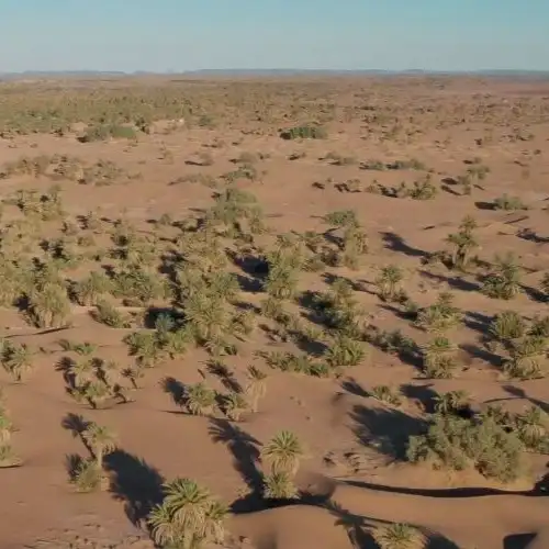 M’Hamid El Ghizlane: at the threshold of the Sahara