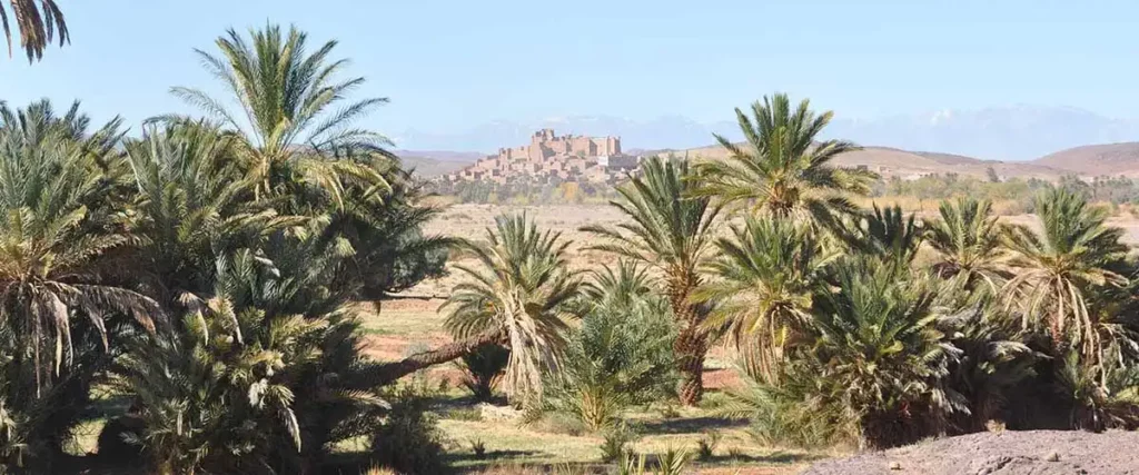 Casbah de Tifoultoute