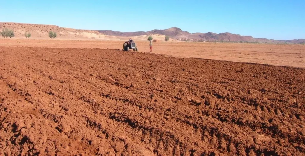 A ploughed field in Morocco