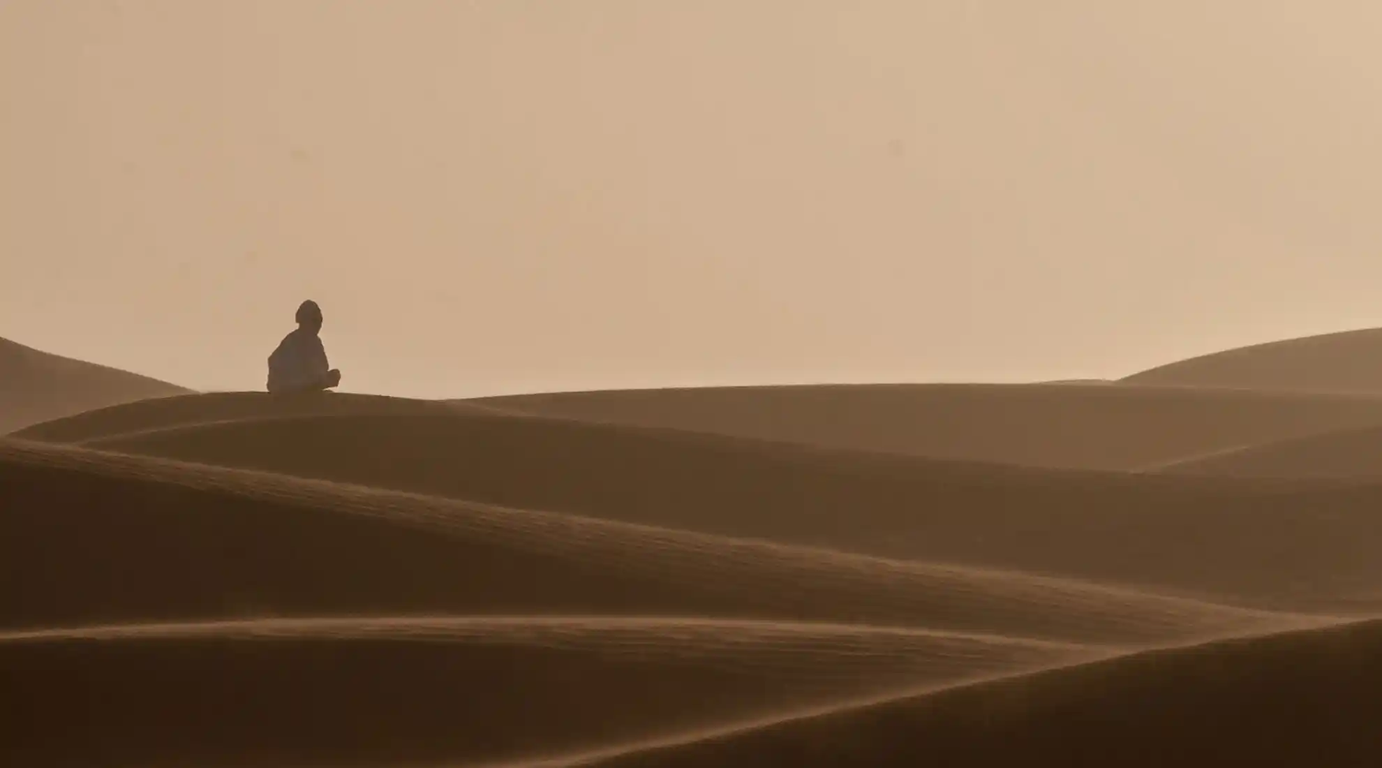 Solitude in the Desert – By A. Azizi