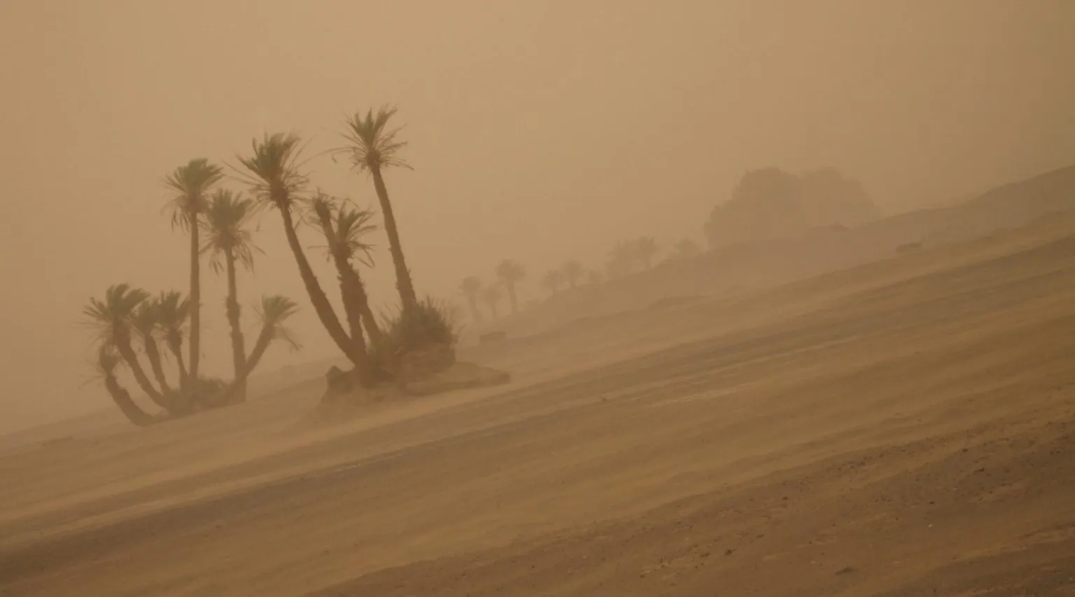 The desert at M’Hamid