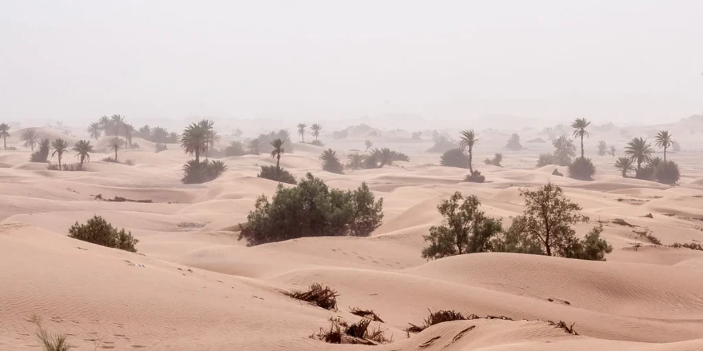 The Desert at M’Hamid – By A. Azizi