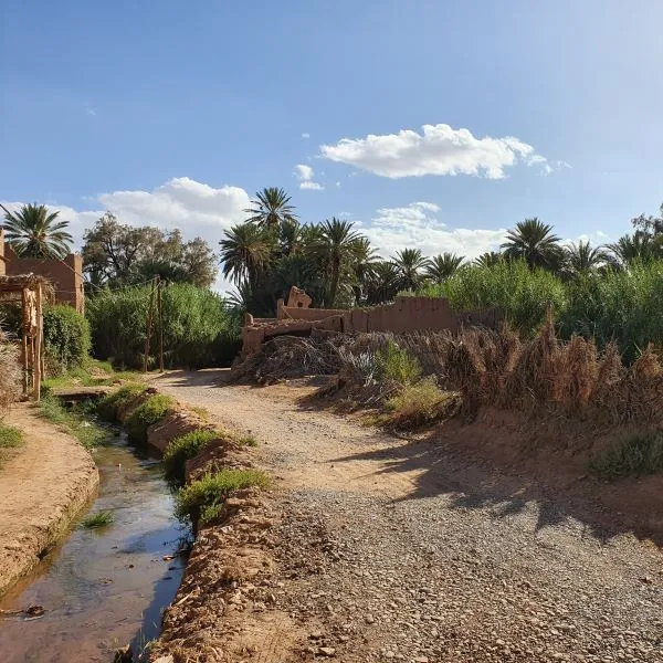 The pathways of the Skoura palm grove