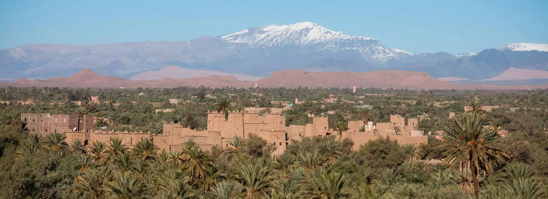 Skoura palm grove: the quintessential oasis