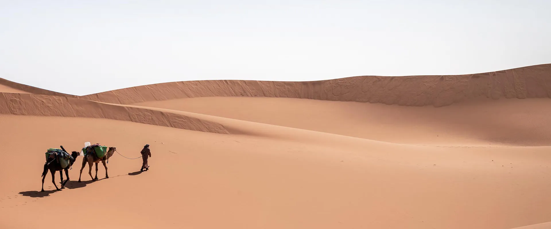 The Sahara Desert