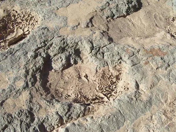 Dinosaur footprints - Source: www.prehistoire-du-maroc.com