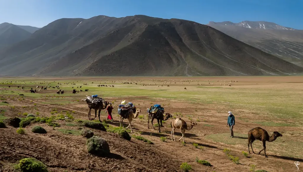 Desert and Mountain Transhumance Trek in Morocco – Credit: A. Azizi