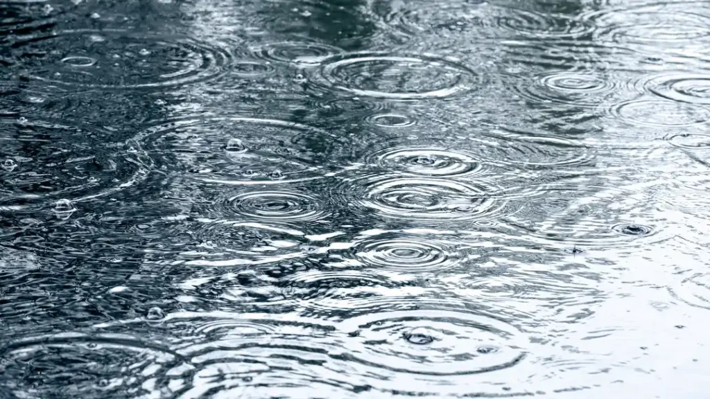 Pluie abondante