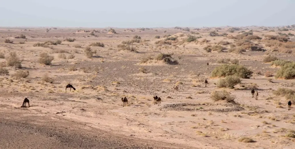 Le désert de pierres au Maroc