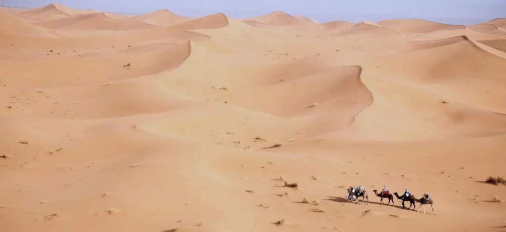 Le désert et une caravane chamelière au Maroc