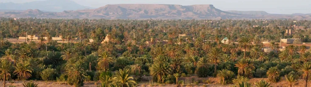 Skoura Oasis