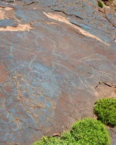 Rock engravings at the Igountar site, near Oukaïmeden
Source: prehistoire-du-maroc.com