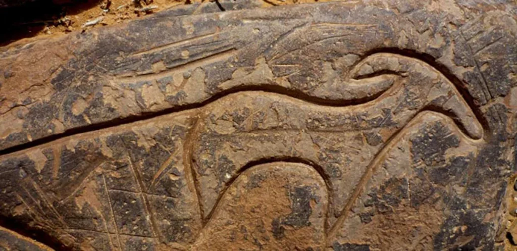 Rock engraving in south-eastern Morocco.